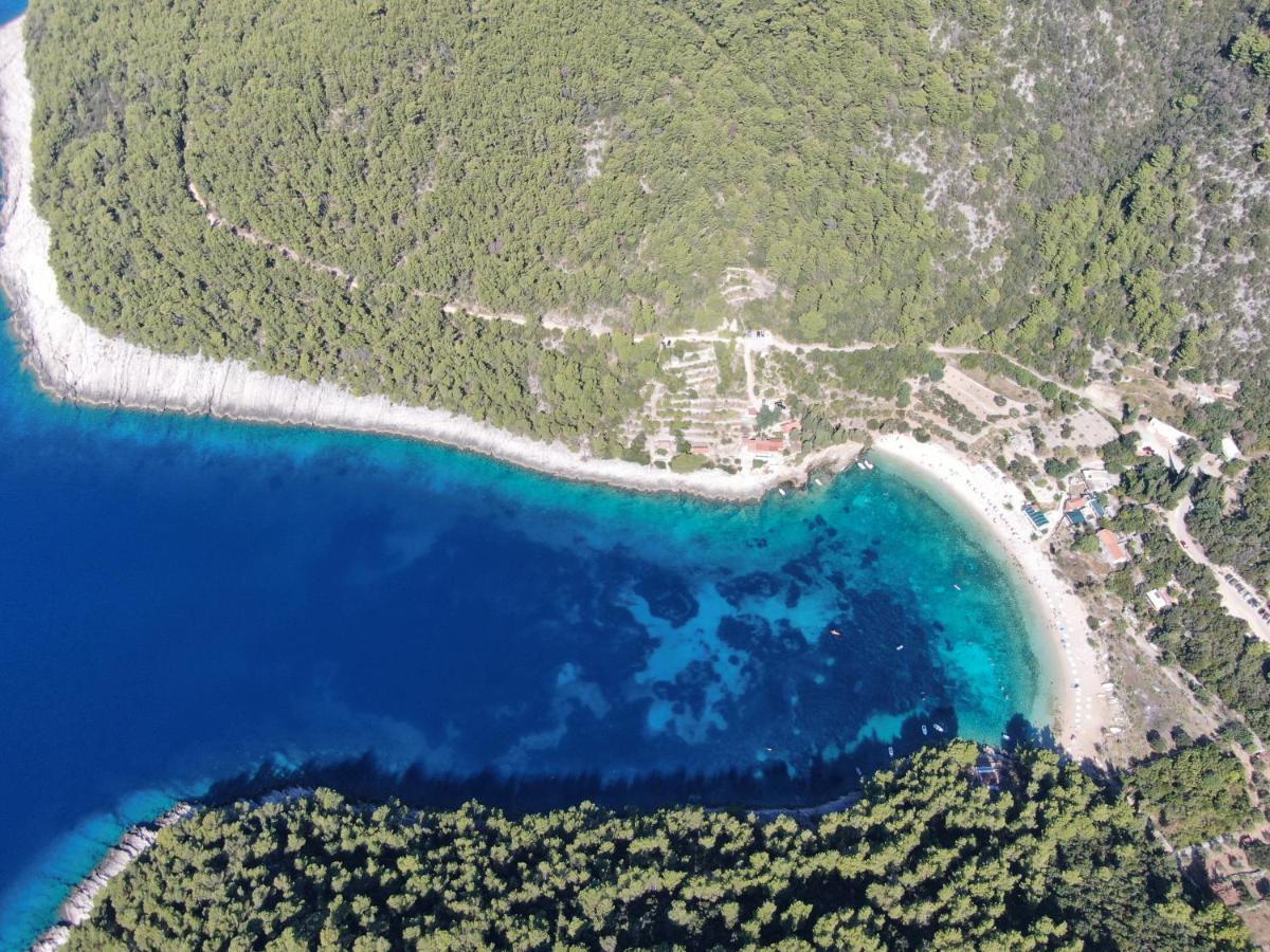 Korcula Holiday Zrnovo Zewnętrze zdjęcie